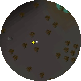 File:Grizzly bear location (Wilderness level 18) minimap.png