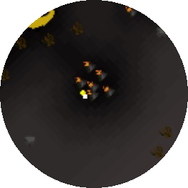 File:Skeleton location (Wilderness level 34) minimap.png