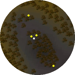 File:Ent location (Wilderness level 20) minimap.png