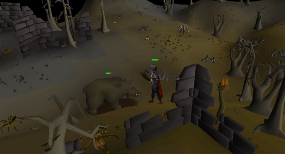 Fighting a grizzly bear beside the ruined walls of the west Wilderness, level 20–21