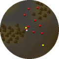 Minimap