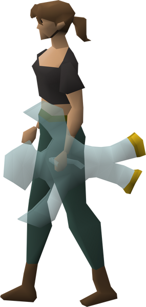 File:Elidinis' ward equipped female.png