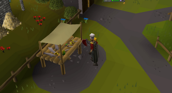 AFK thieving from the market stall in the AFK Skilling Zone (::afkskilling) - earns AFK tokens Safe area