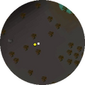 Minimap