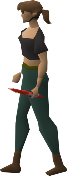 File:Dragon defender equipped female.png