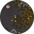 Minimap