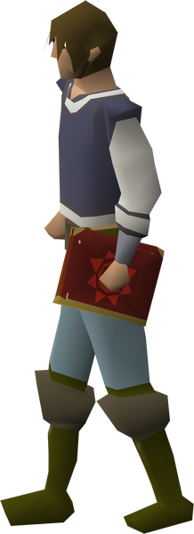 File:Mage's book equipped male.png