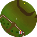 Minimap