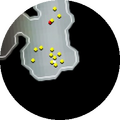 Minimap