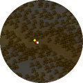 Minimap