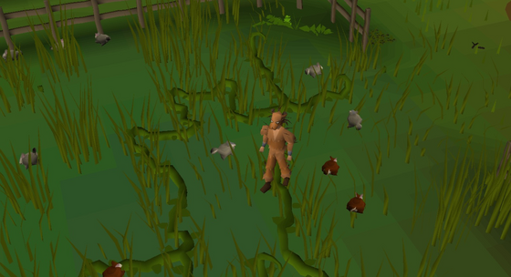 Grey chinchompas and red (carnivorous) chinchompas in the Skilling Zone hunter area (::hunter) Safe area