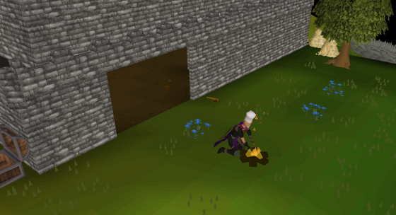 Cooking sharks on the fire outside the home building in the Edgeville home skilling area (::home) Safe area