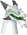 Chathead image of Great Olm
