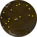 Minimap