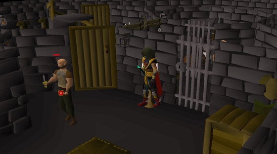 Fighting a rogue inside the Rogues' Castle