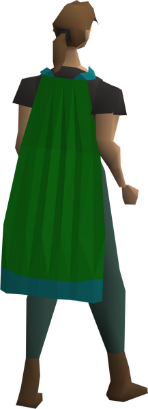 File:Guthix cape equipped female.png