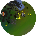Minimap