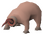 Chathead image of Bloodveld