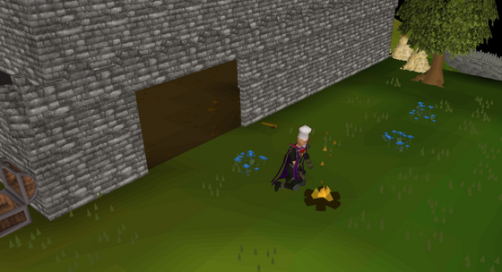 Kneeling over a fire to cook a raw shark, in full chef's hat and cooking cape