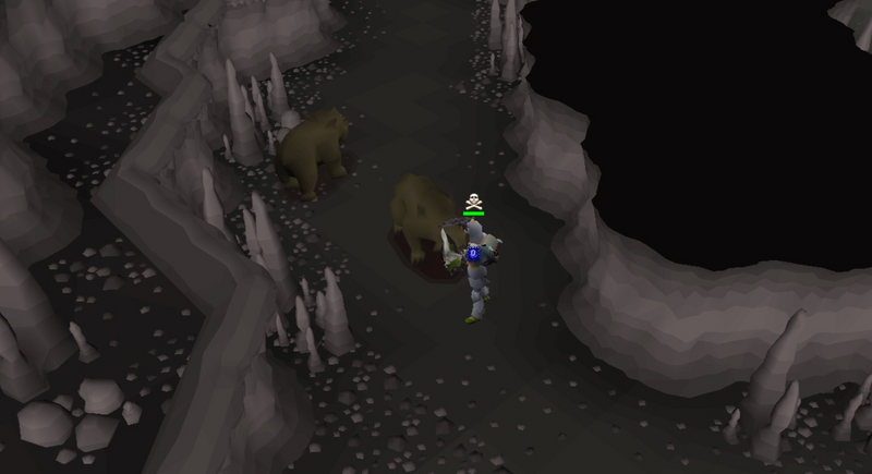 File:Grizzly bear location (Slayer Cave).png