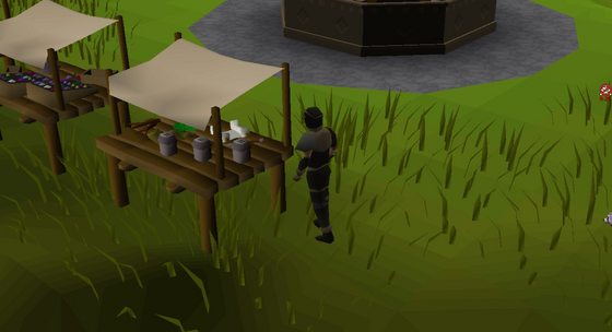 Stealing from the Skilling Zone spice stall in full rogue gear, next to the gem stall, south of the Skilling Zone bank (Thieving Tutor at 2846, 2582) Safe area