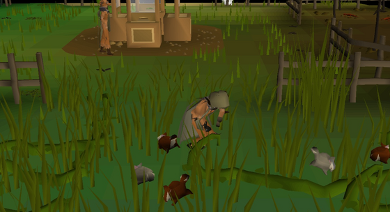 Crouching to lay a box trap among the grey and red chinchompas in the Skilling Zone hunter area
