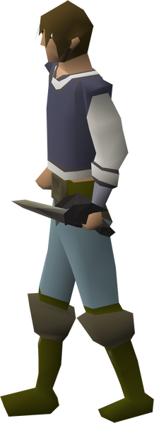 File:Avernic defender equipped male.png