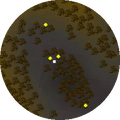 Minimap
