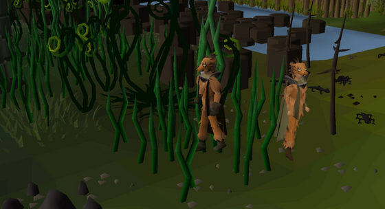 Black salamanders and young trees in the Divine Skilling Zone, next to one of the zone's Hunting Tutors (Divine Donators) Not in the Wilderness, but a donator PvP dungeon: other players can attack you