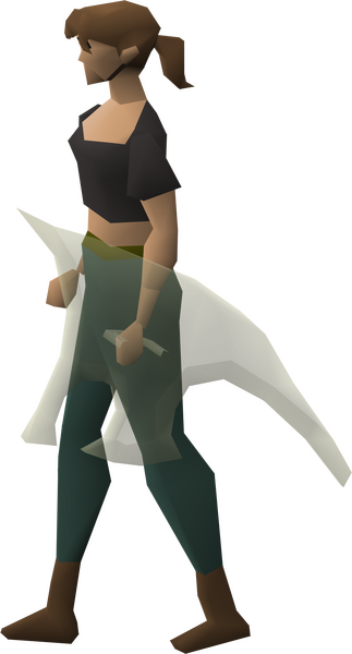 File:Blessed spirit shield equipped female.png