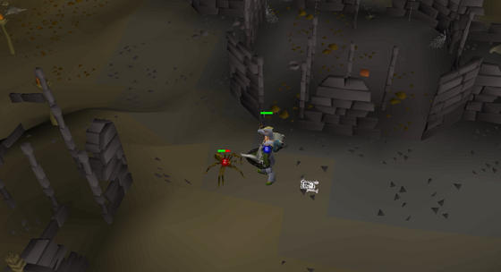 Fighting a giant spider beside the ruins in level 21 Wilderness