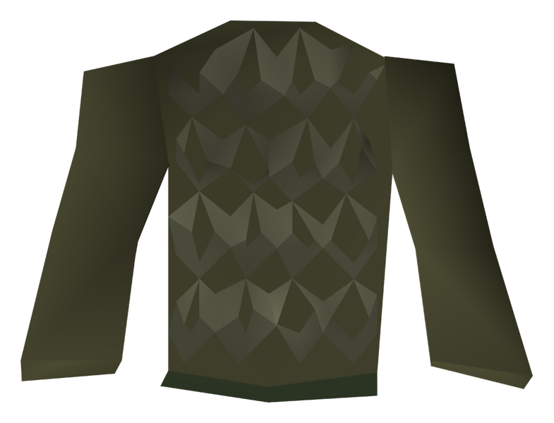 File:Ahrim's robetop detail.png