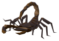 Thumbnail for version as of 04:41, 22 October 2026
