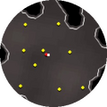 Minimap