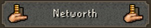 Networth