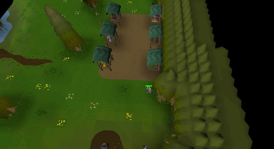 The market stalls in the Divine Skilling Zone