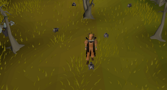 Black chinchompas in the Royal skilling dungeon (Royal Donators, 12 black chinchompas) Not in the Wilderness, but a donator PvP dungeon: other players can attack you