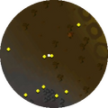 Minimap