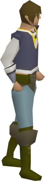 File:Phoenix necklace equipped male.png