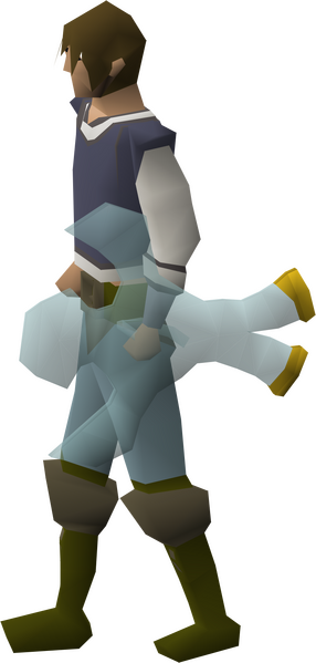 File:Elidinis' ward equipped male.png