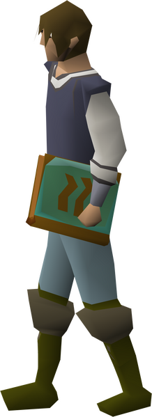 File:Tome of earth equipped male.png