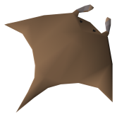 Manta ray